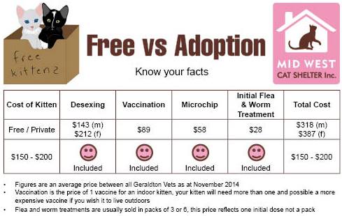 Free vs Adoption