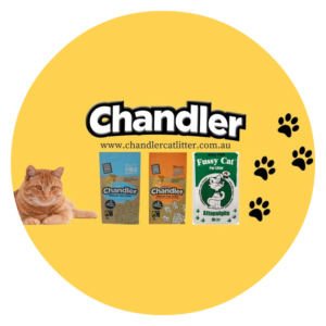 Chandler Cat Litter