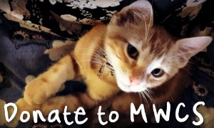 Donate to Mid West Cat Shelter, Inc