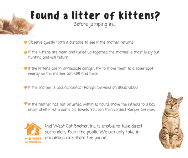 Frequently Asked Questions Mid West Cat Shelter, Inc