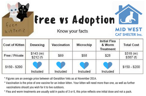 Free vs Adoption 2016