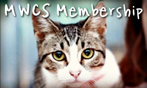 Become a Mid West Cat Shelter, Inc Member 